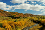 [圍場]塞罕壩國家公園